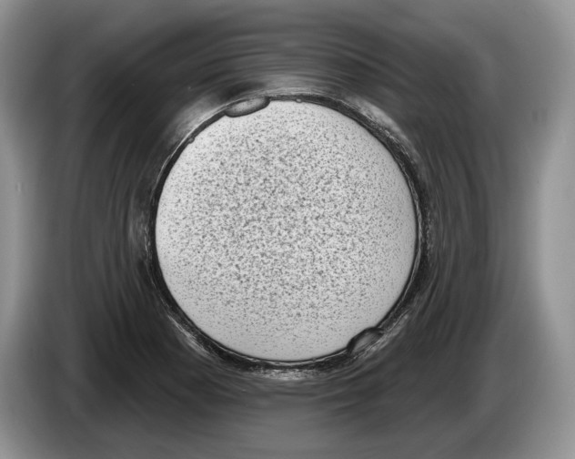 X0000086271177200704262010