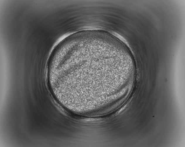 X0000086271179200704262010