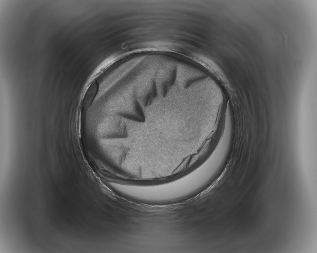 X0000086271180200704262010