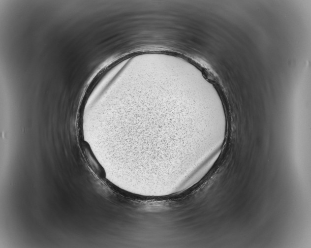 X0000086271181200704262010