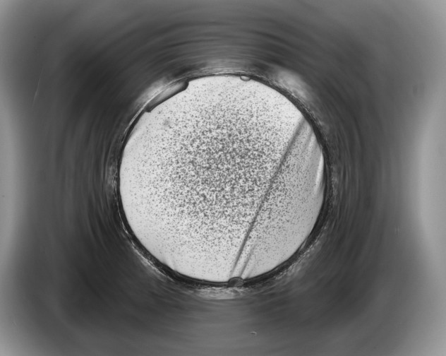 X0000086271185200704262010