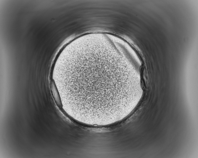 X0000086271189200704262010