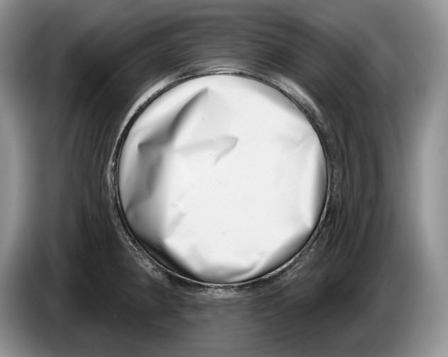 X0000086271190200704262010