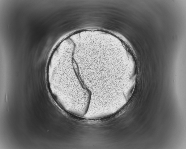X0000086271191200704262010