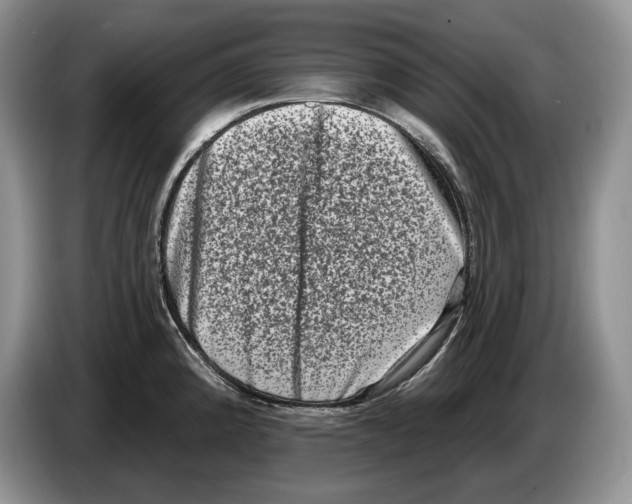 X0000086271192200704262010