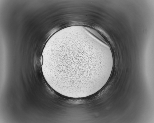 X0000086271193200704262010