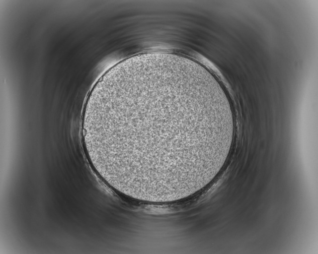 X0000086271194200704262010