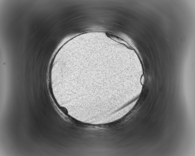 X0000086271195200704262010