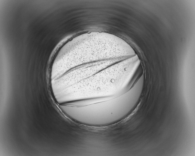 X0000086271196200704262010