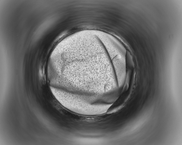 X0000086271198200704262010