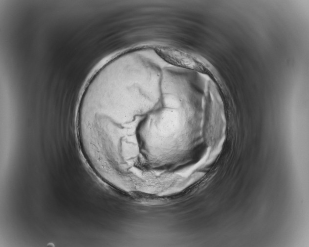 X0000086271199200704262010