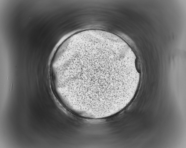 X0000086271200200704262010