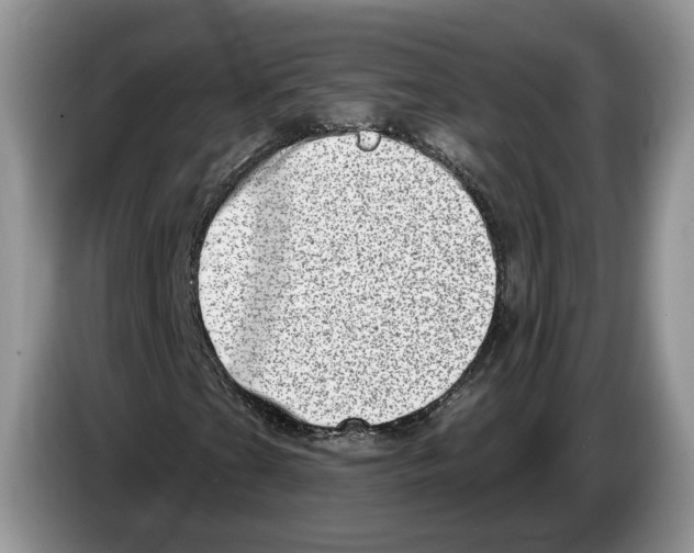X0000086271201200704262009