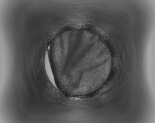 X0000086271202200704262009