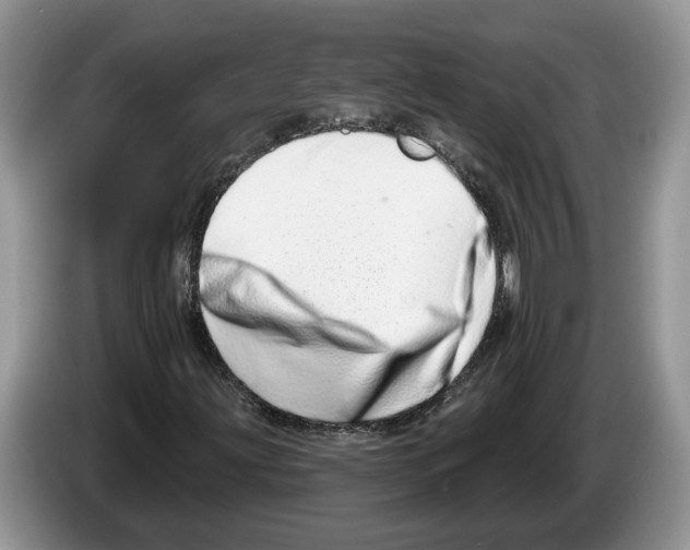X0000086271203200704262009