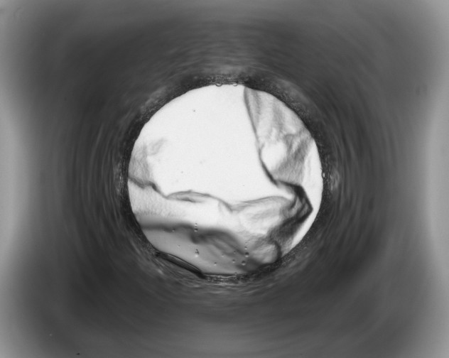 X0000086271204200704262009