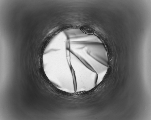 X0000086271205200704262009