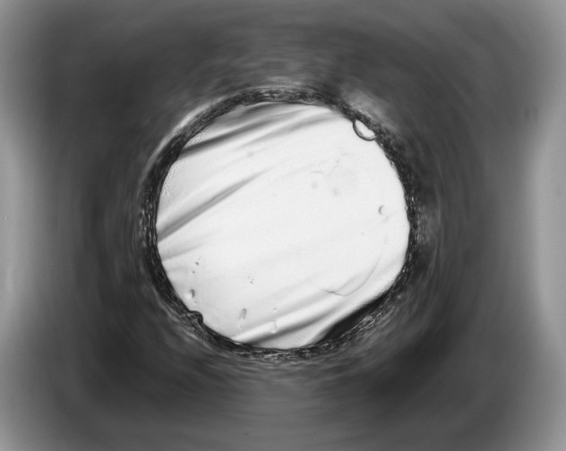 X0000086271208200704262009