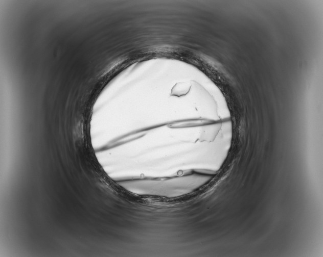 X0000086271209200704262009