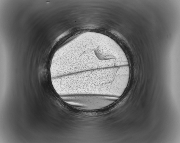 X0000086271210200704262009