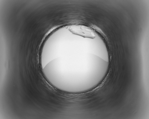X0000086271212200704262009