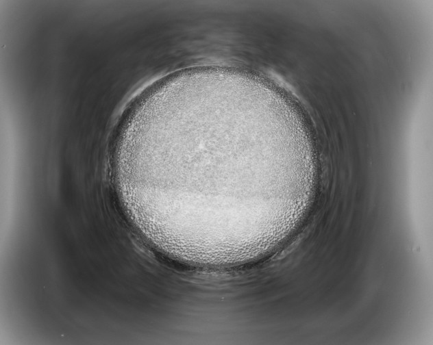 X0000086271215200704262009