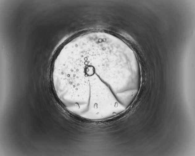X0000086271216200704262009
