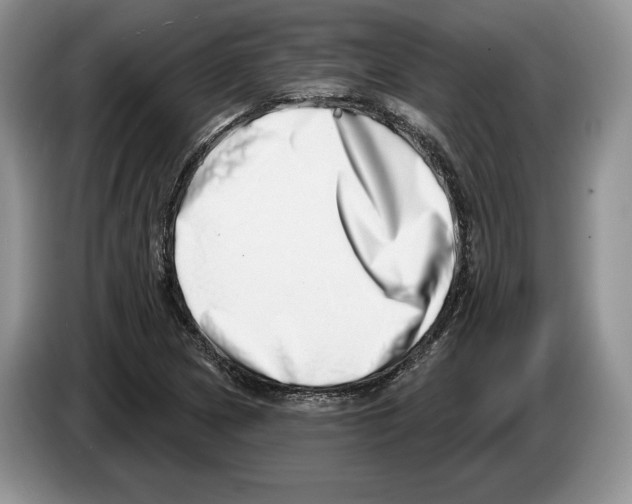 X0000086271217200704262009