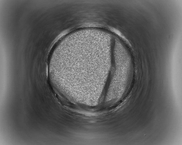X0000086271221200704262009