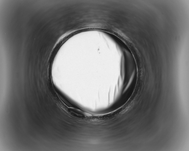 X0000086271222200704262009
