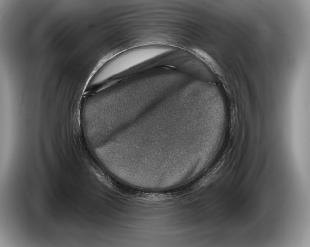 X0000086271226200704262009