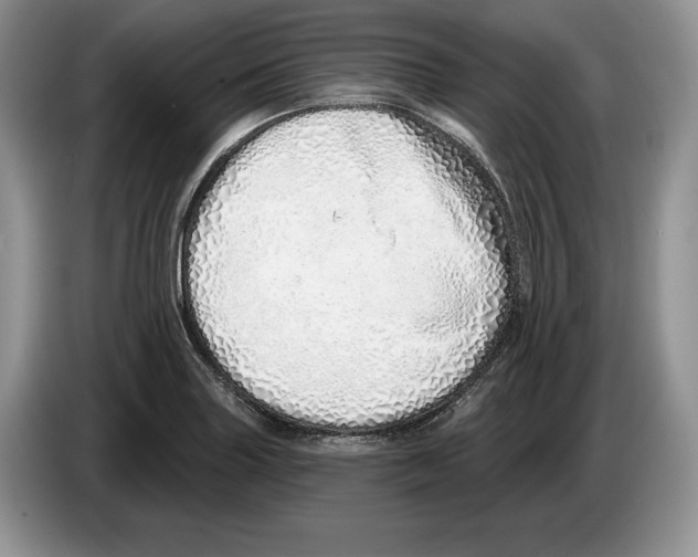 X0000086271227200704262009