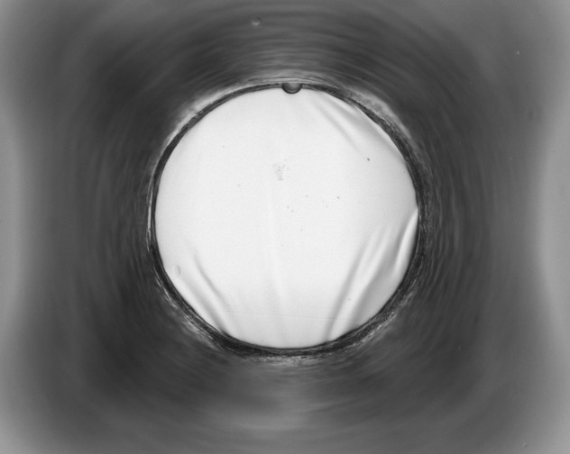 X0000086271228200704262009