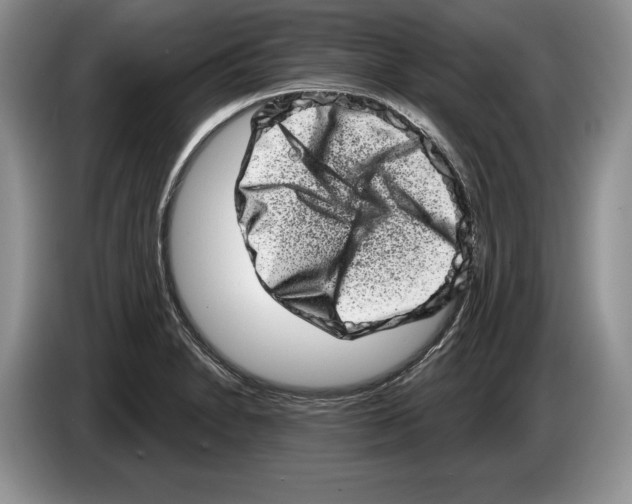 X0000086271230200704262009