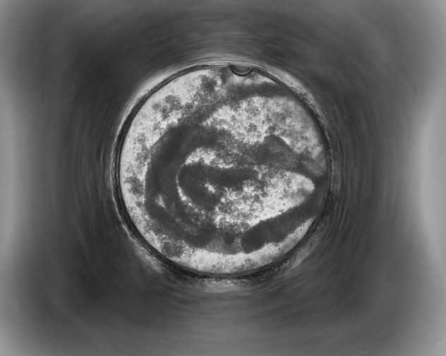X0000086271231200704262009