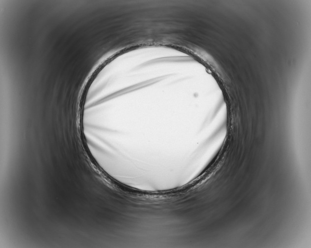X0000086271232200704262010