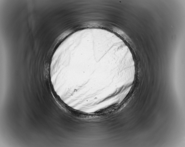 X0000086271233200704262010