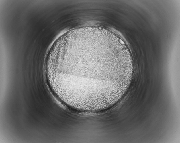 X0000086271235200704262010