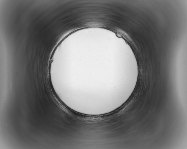 X0000086271236200704262010