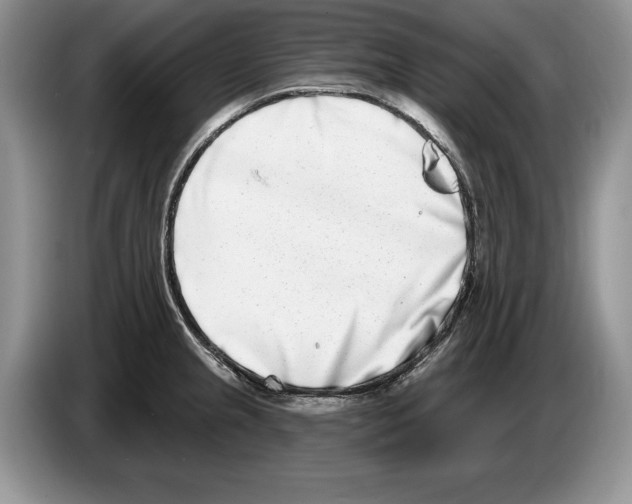 X0000086271237200704262010
