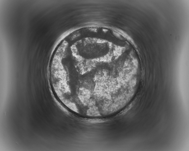 X0000086271239200704262010
