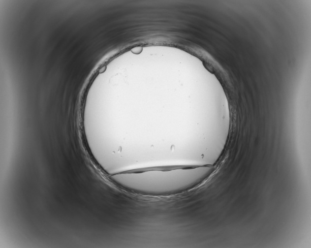 X0000086271240200704262010