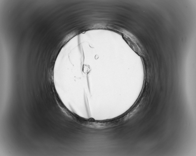 X0000086271241200704262010