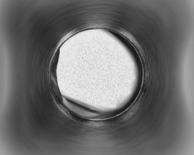 X0000086271242200704262010