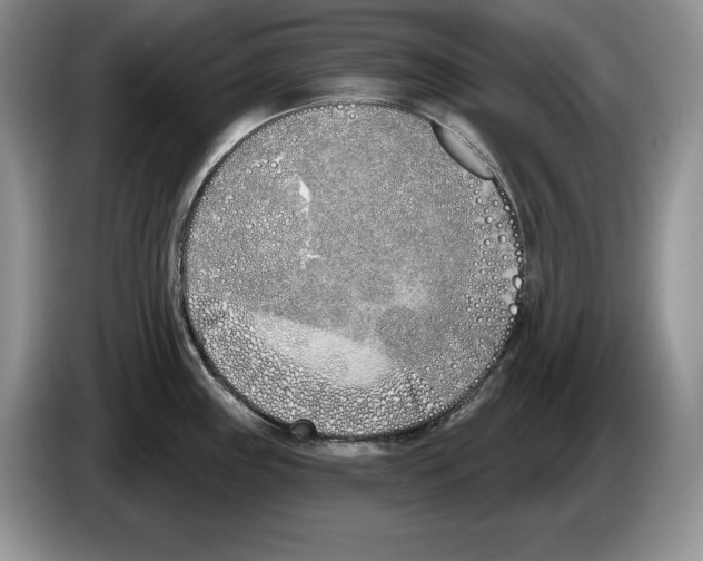 X0000086271243200704262010