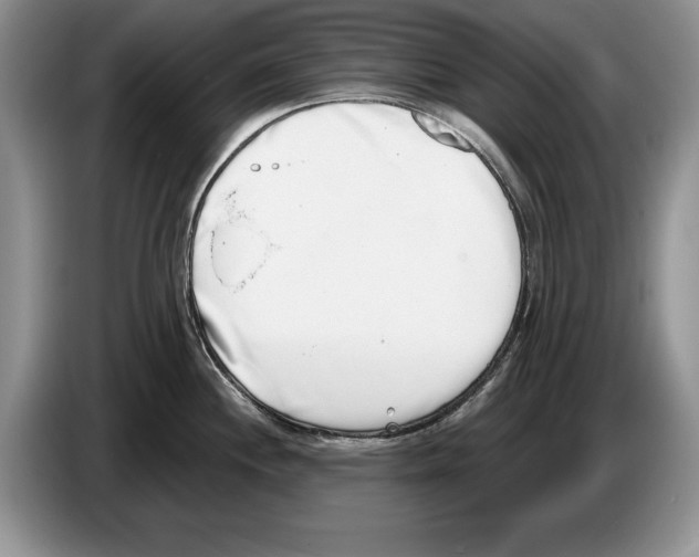 X0000086271244200704262010