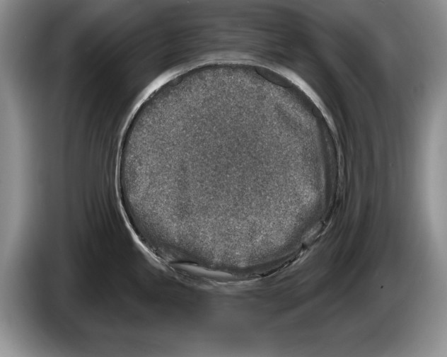 X0000086271245200704262010