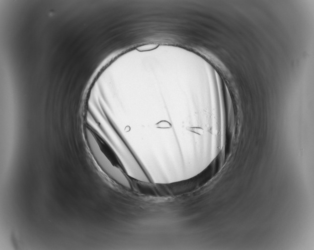 X0000086271248200704262010