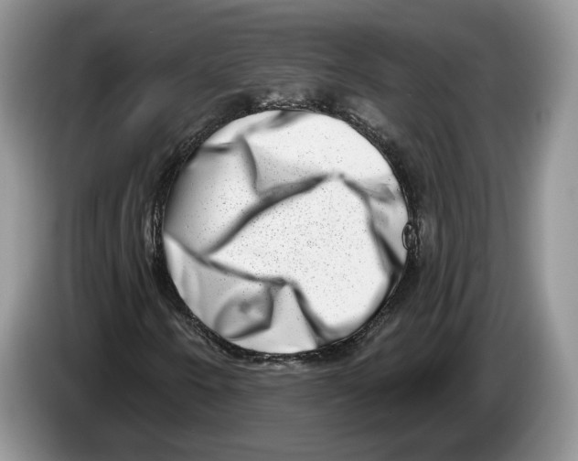 X0000086271250200704262009