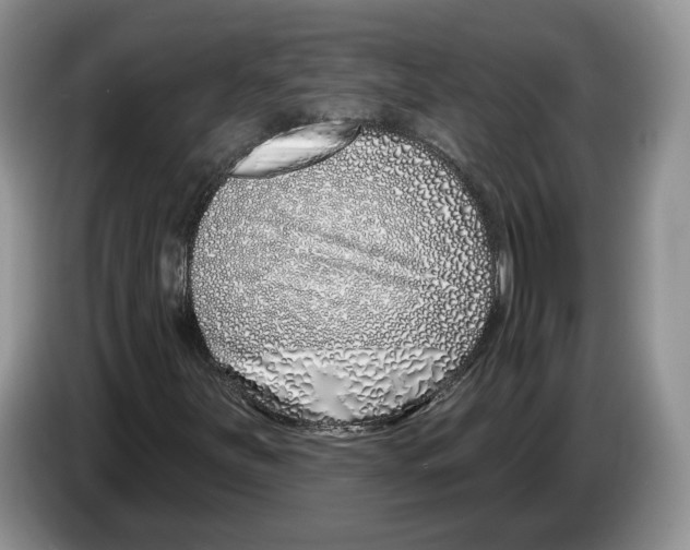 X0000086271251200704262009